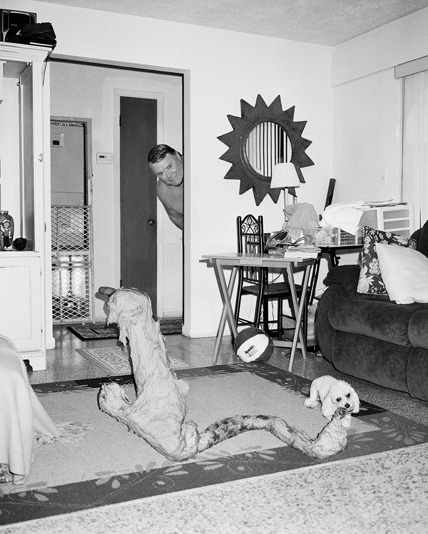 Untitled (pet) by Asger Carlsen