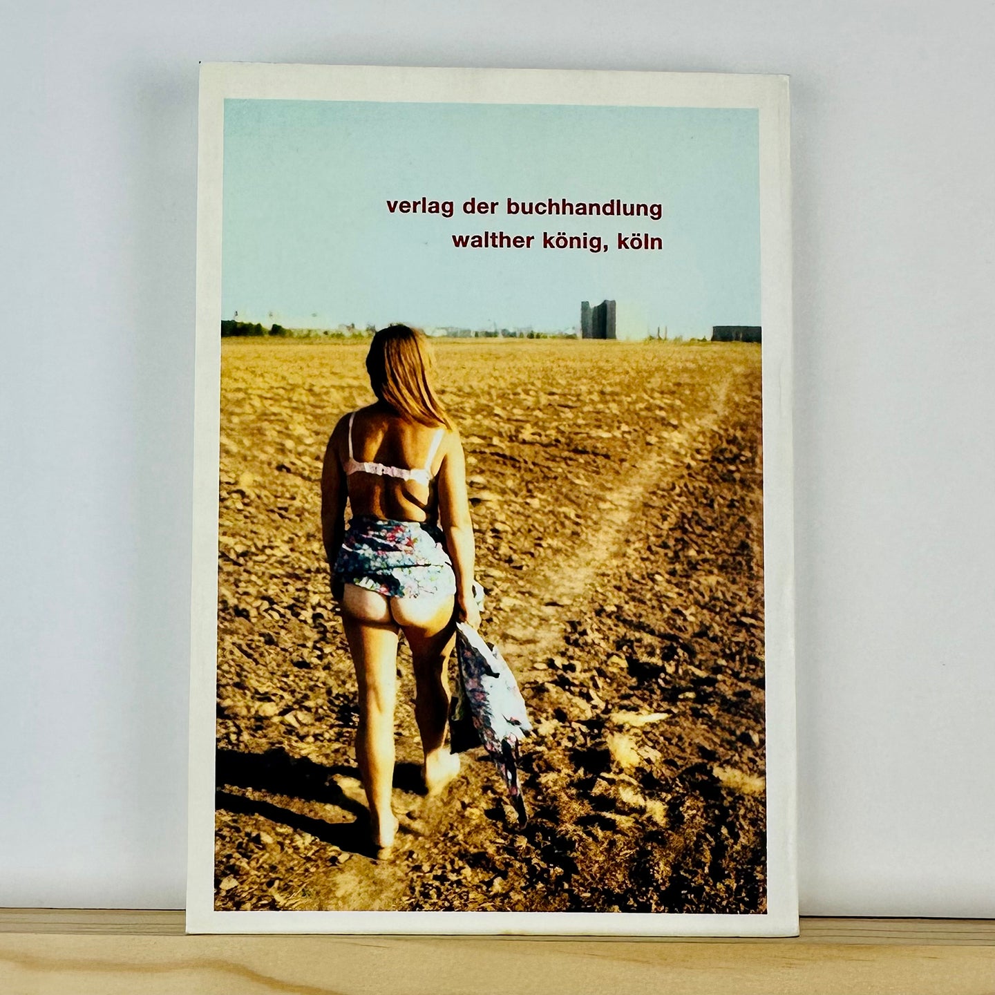 Suzi et Cetera by Boris Mikhailov