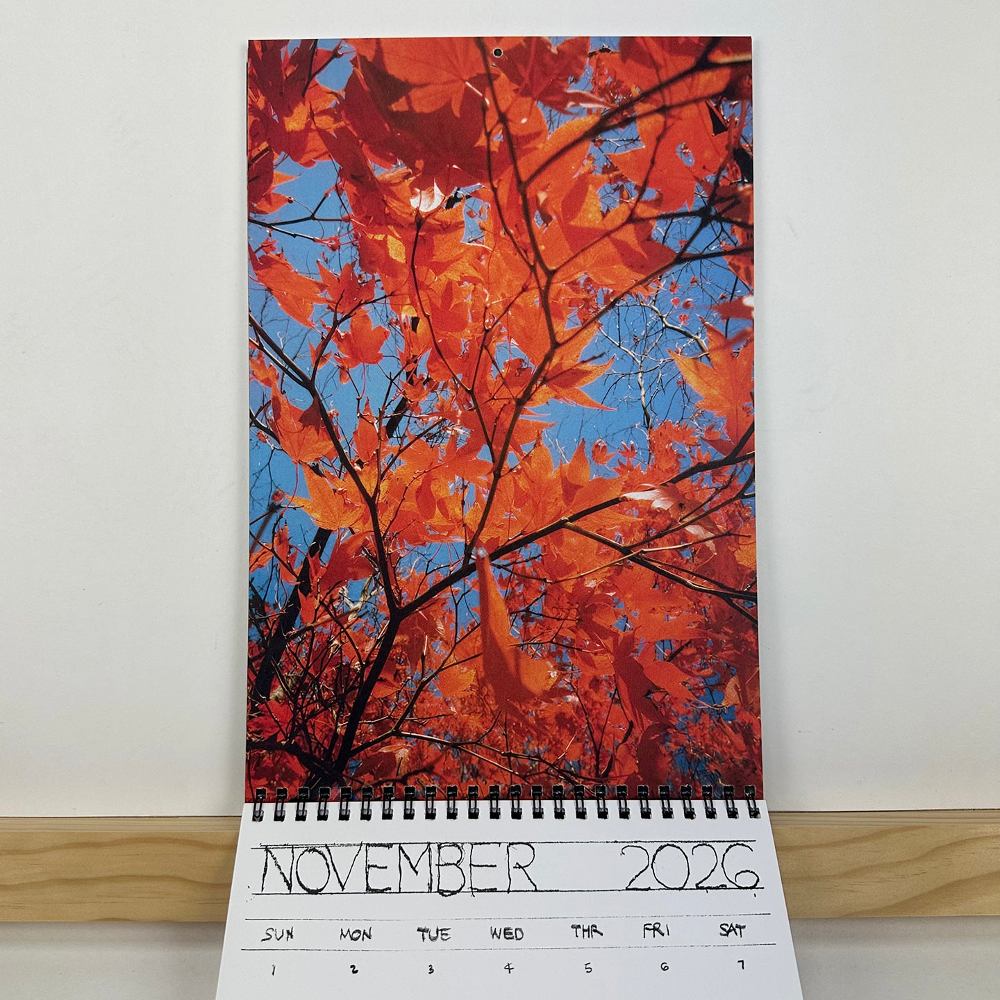 2026 Calendar by Georgia Hilmer