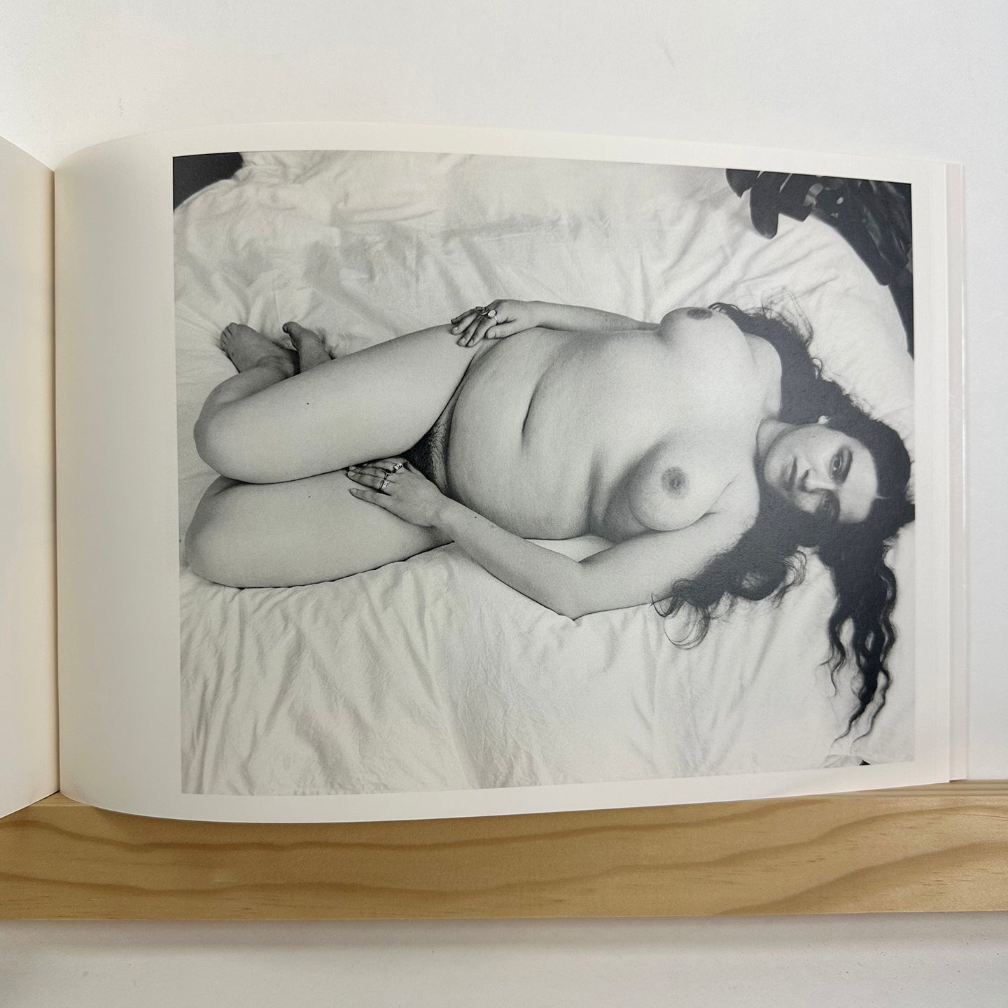 Gilded Lilies by Steph Wilson