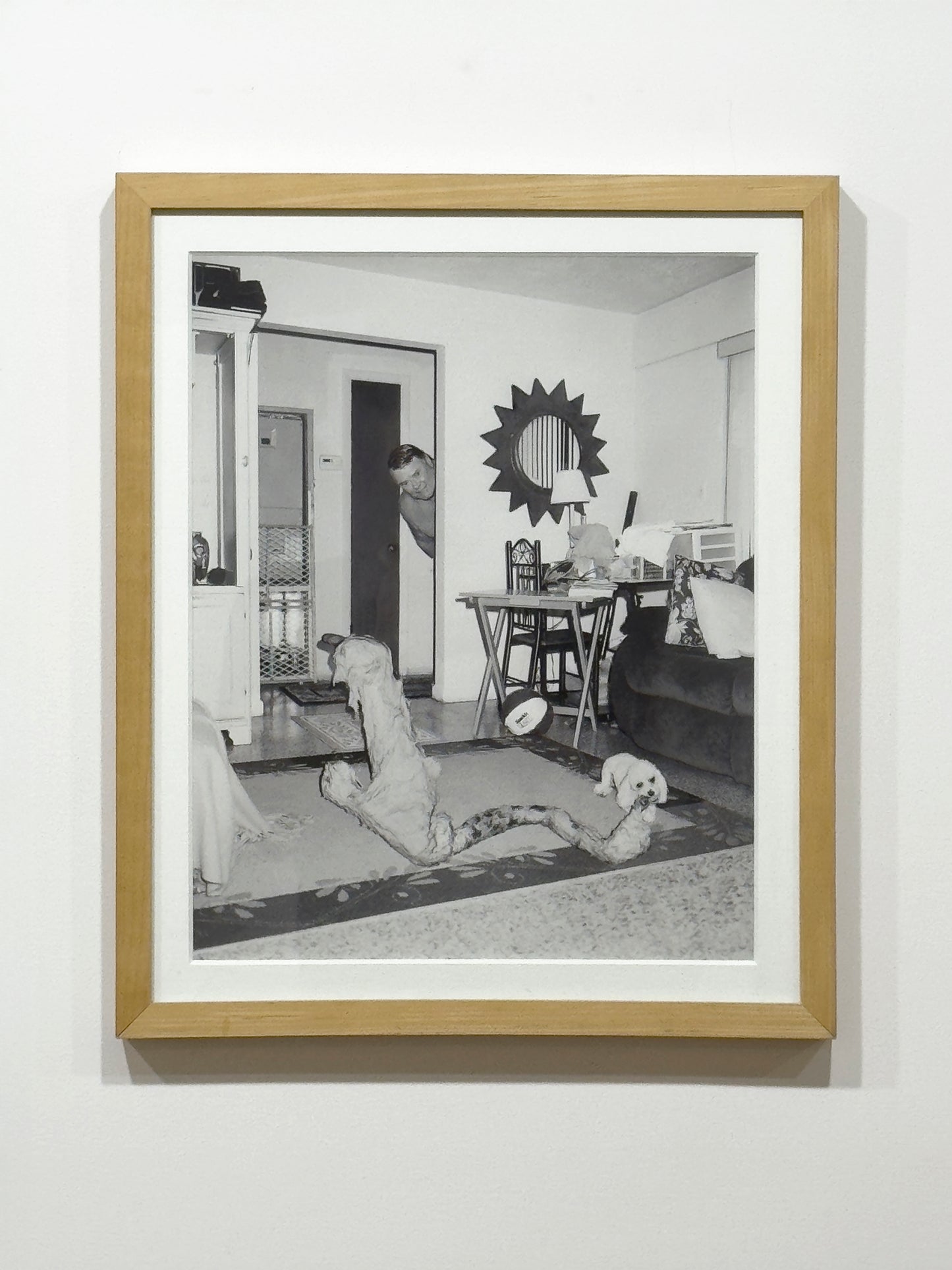 Untitled (pet) by Asger Carlsen