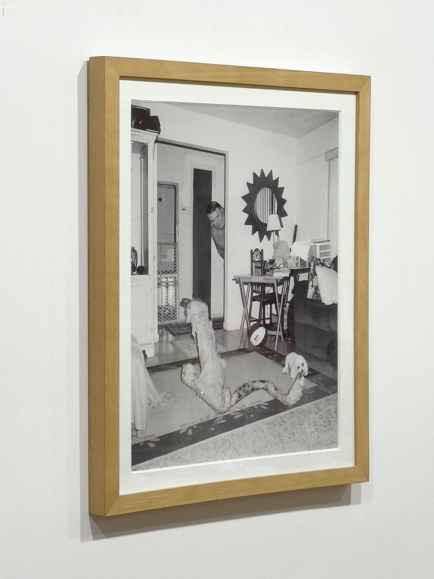 Untitled (pet) by Asger Carlsen