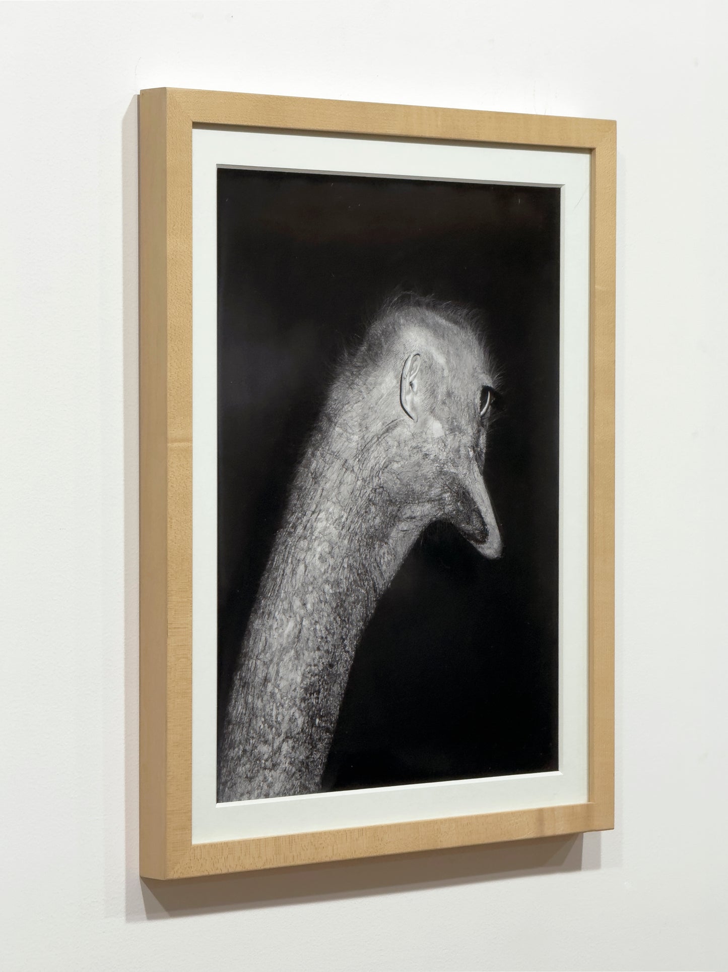 Untitled (ear) by Asger Carlsen