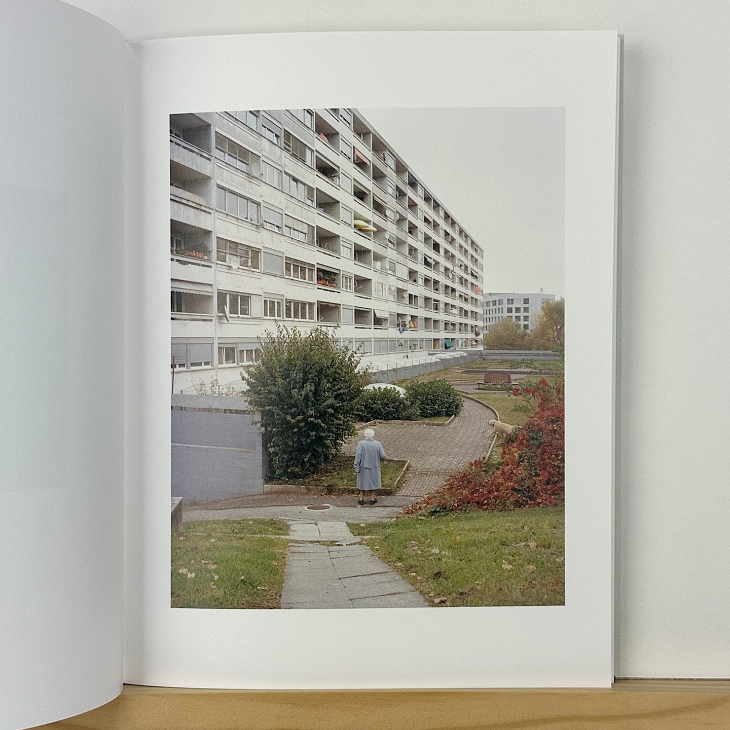 Collider by Carl Wooley