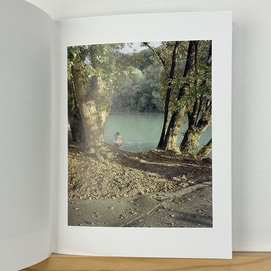 Collider by Carl Wooley