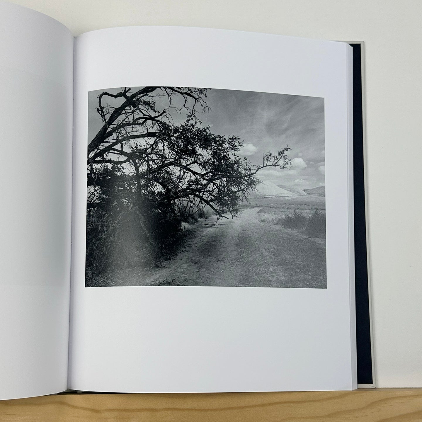 Crisis Tapes by Charlie Simokaitis