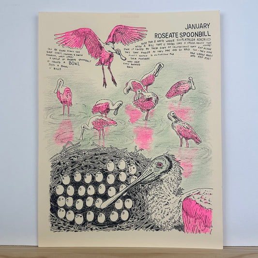 Animal Facts Club Calendar 2026