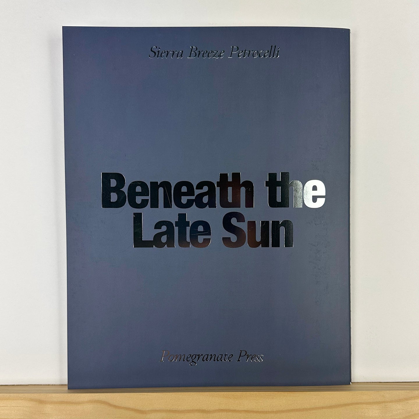 Beneath the Late Sun by Sierra Breeze Petrocelli