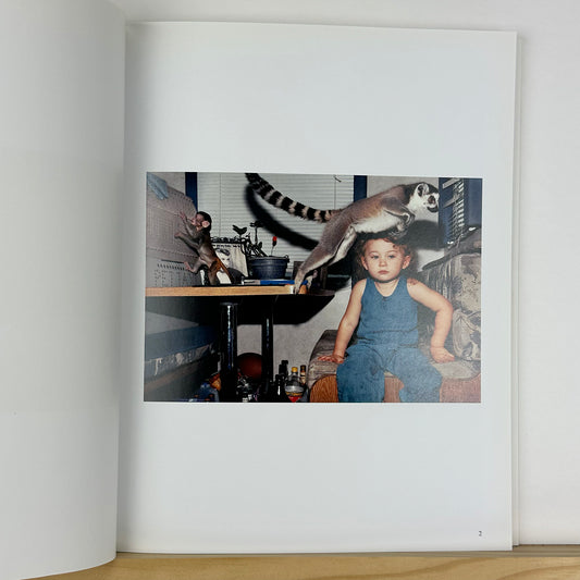 Amelia's World by Robin Schwartz