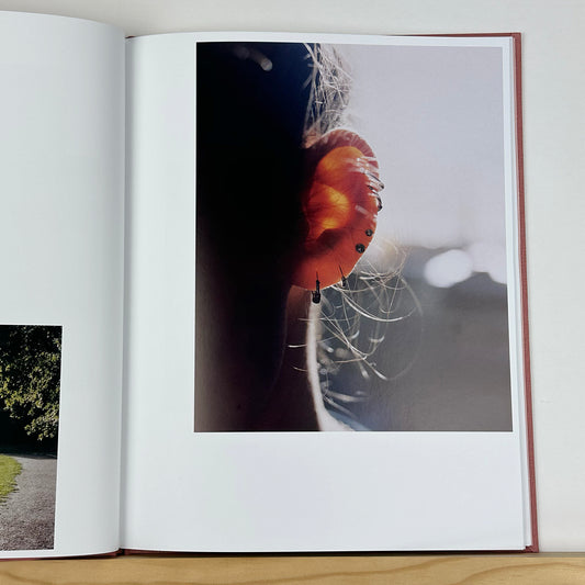 Seeing With by Erik Gustafsson