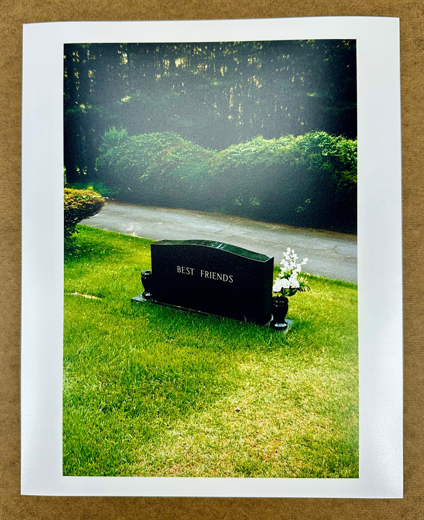 Best Friends (Print) by Jerry Hsu