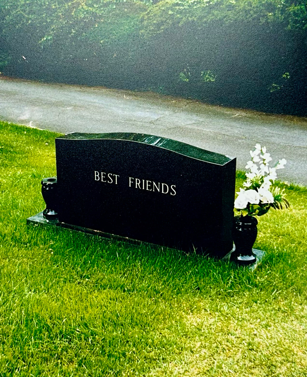 Best Friends (Print) by Jerry Hsu