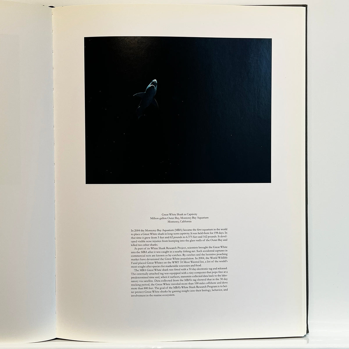 An American Index of the Hidden and Unfamiliar by Taryn Simon
