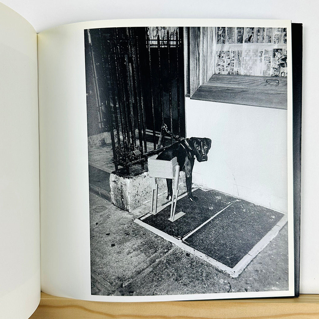 Wrong by Asger Carlsen