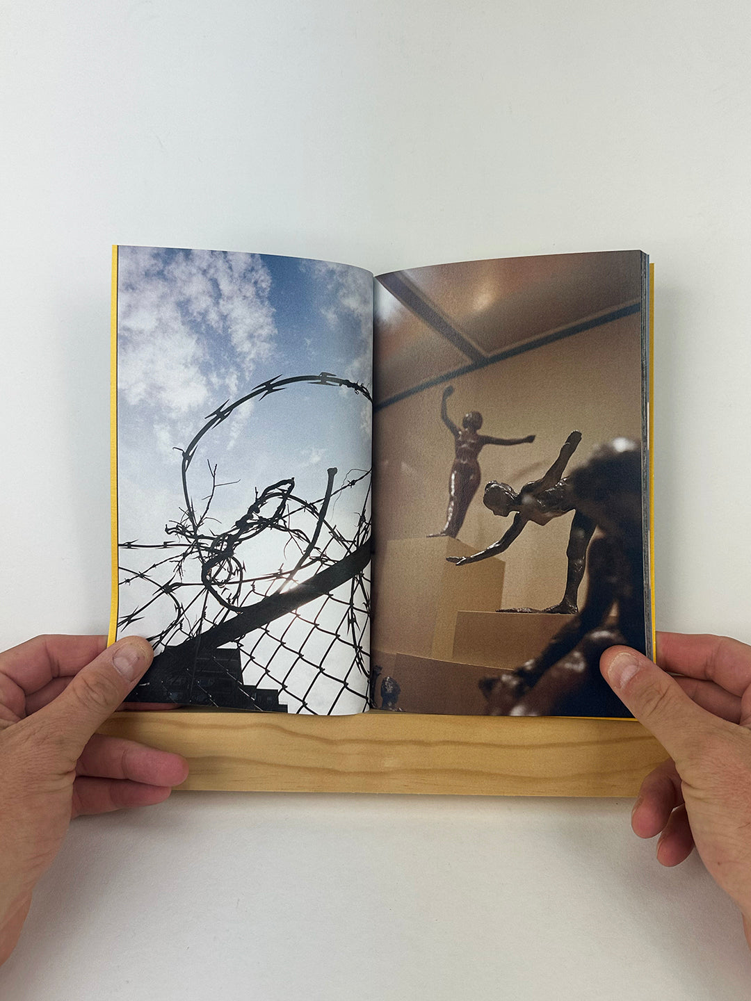 Two by Lee Mary Manning & Peter Sutherland