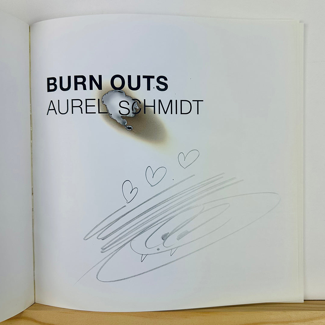 Burn Outs by Aurel Schmidt