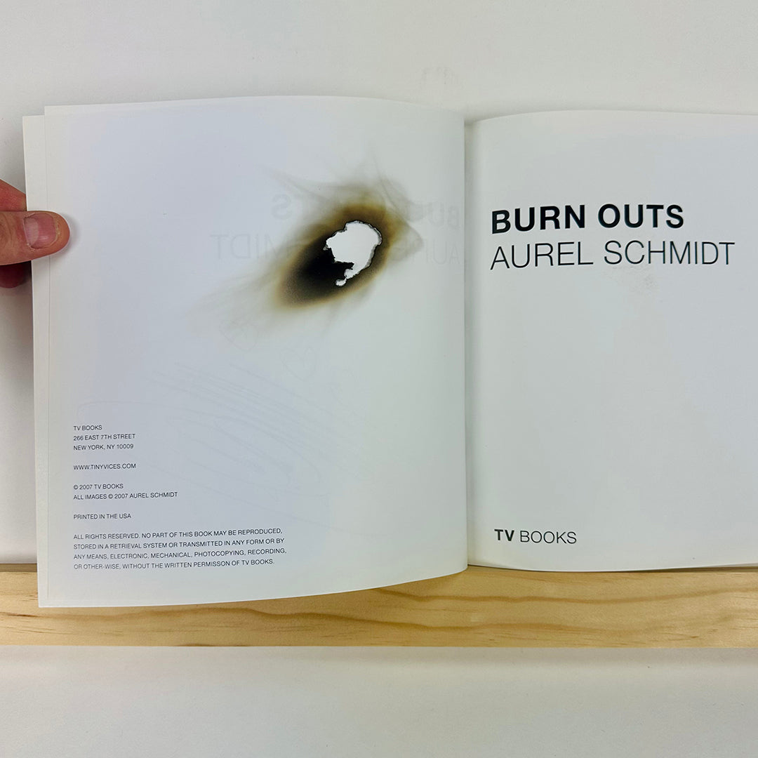 Burn Outs by Aurel Schmidt