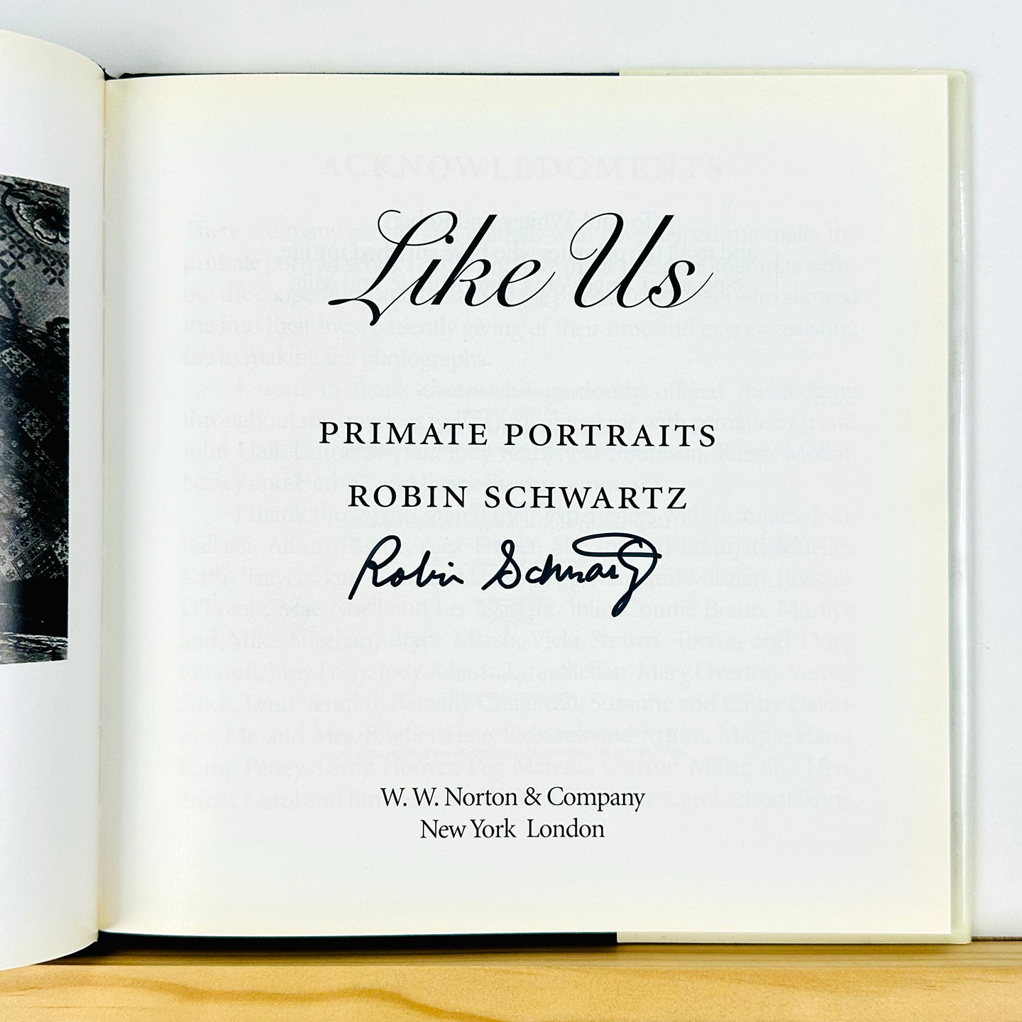 Like Us by Robin Schwartz