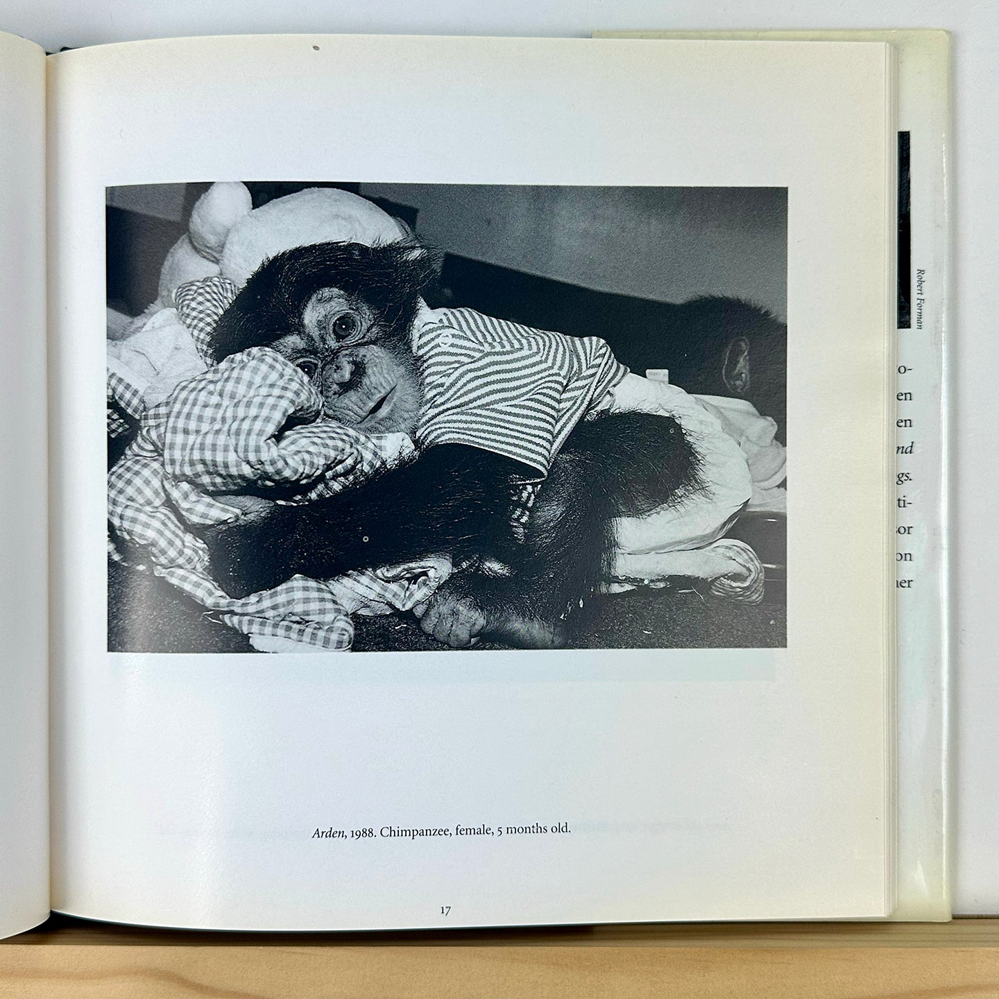 Like Us by Robin Schwartz