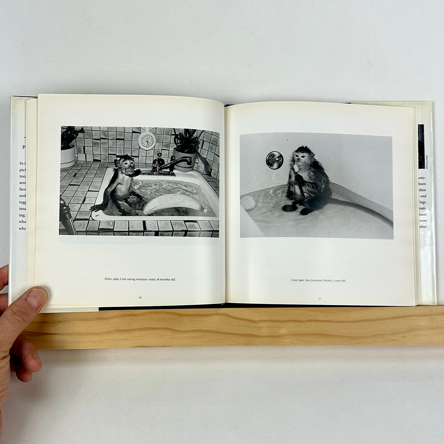 Like Us by Robin Schwartz