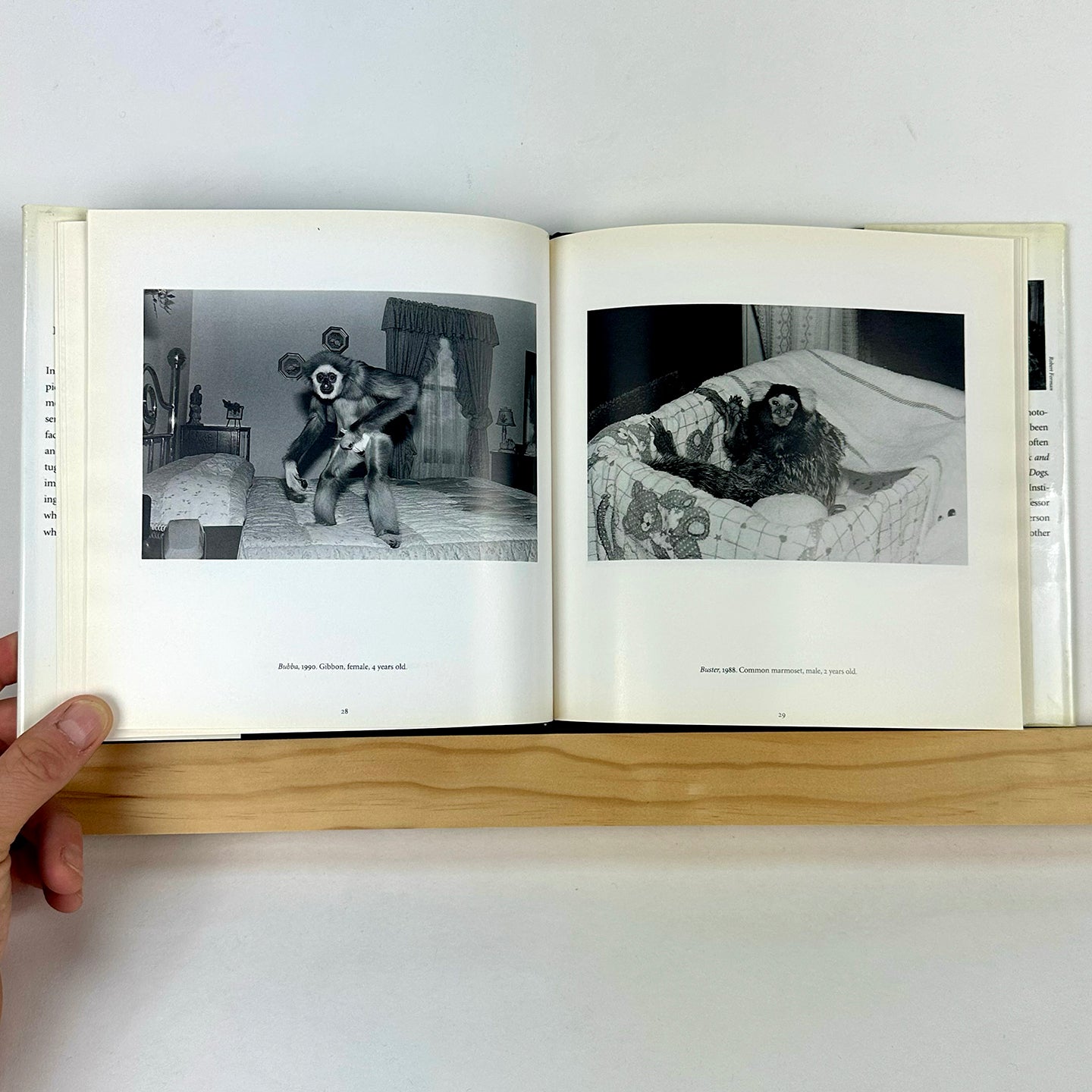 Like Us by Robin Schwartz