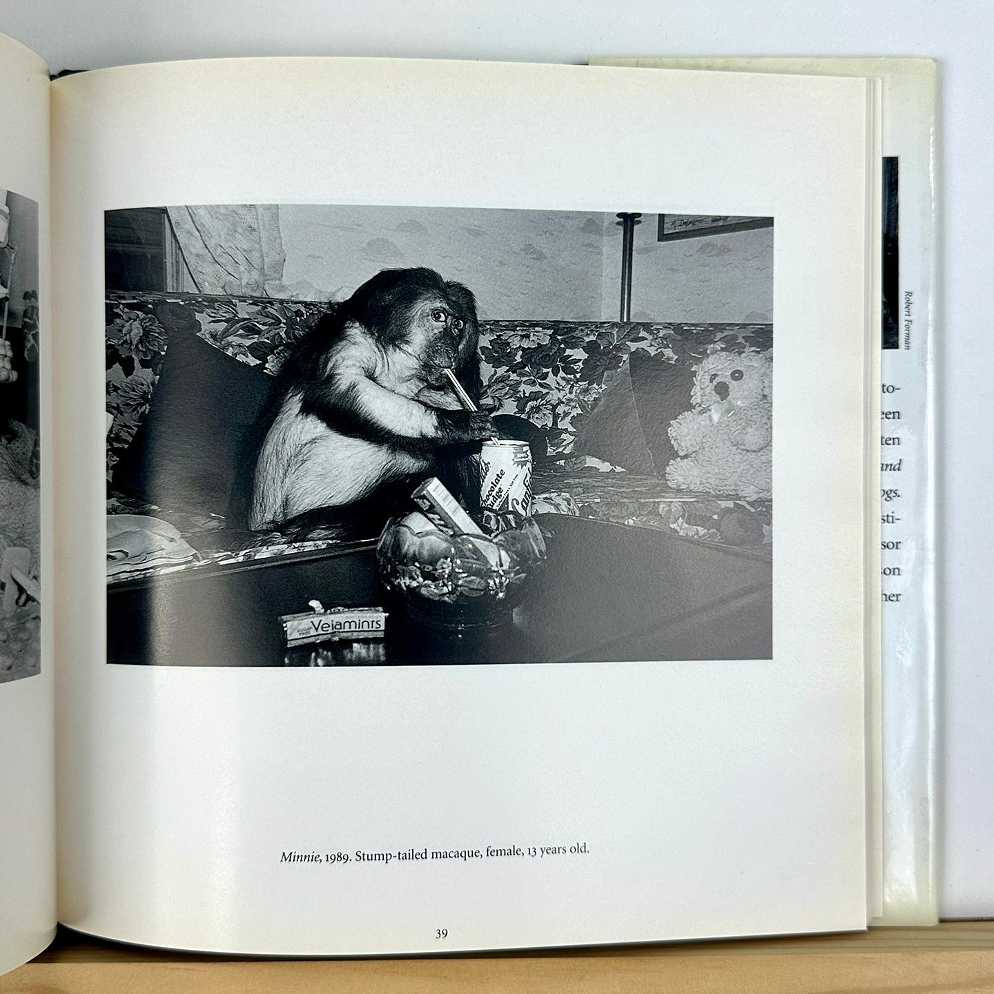 Like Us by Robin Schwartz