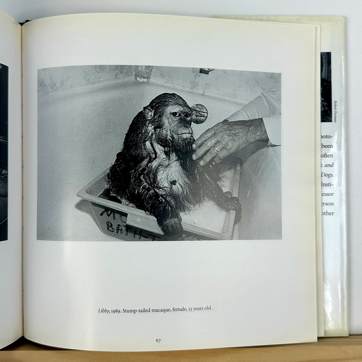 Like Us by Robin Schwartz