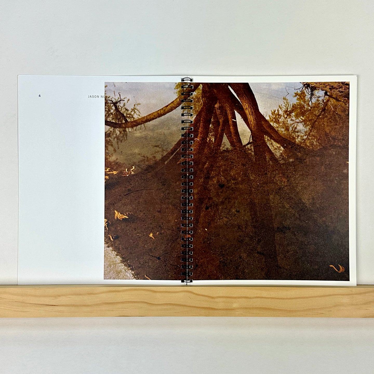 Photography by Jason Nocito