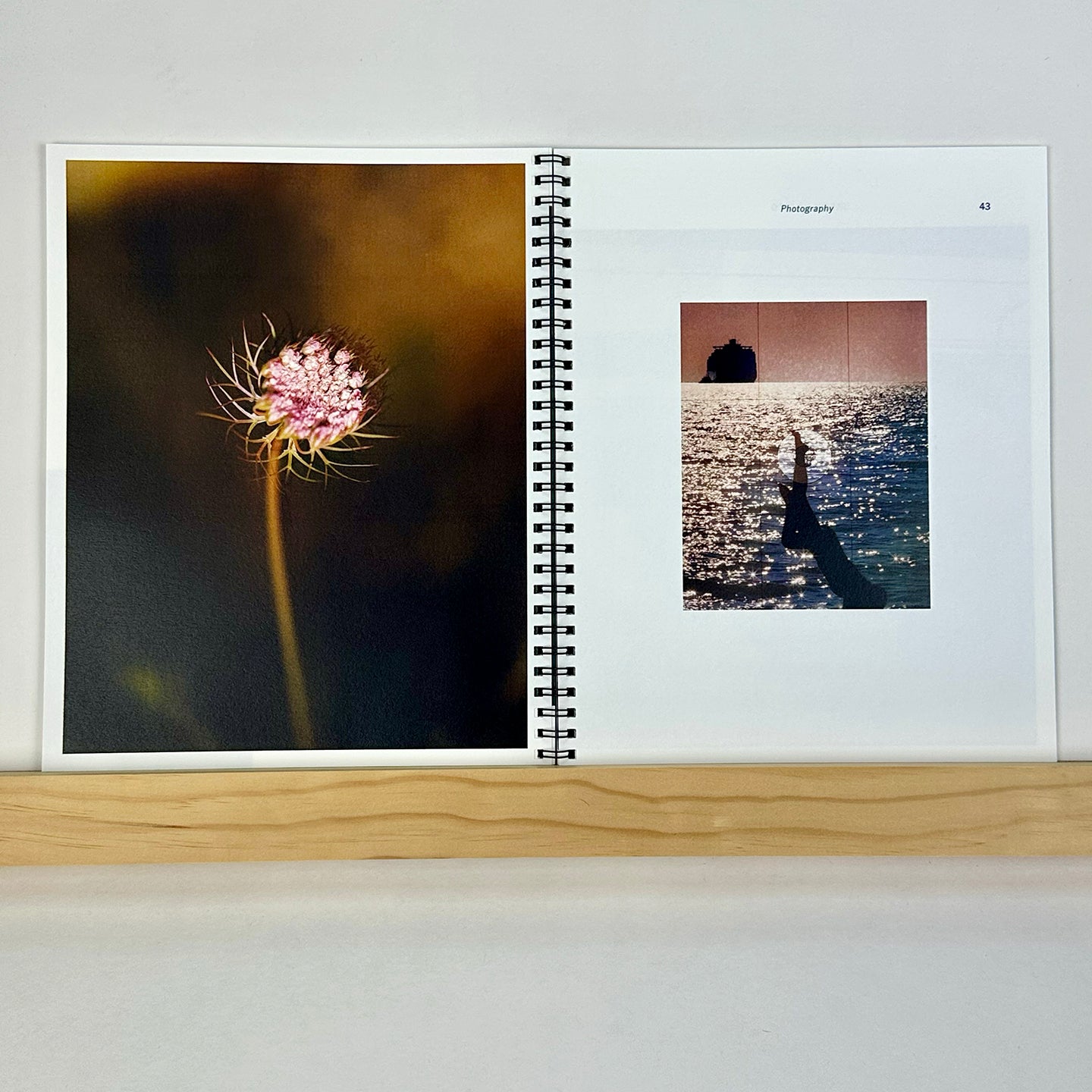 Photography by Jason Nocito