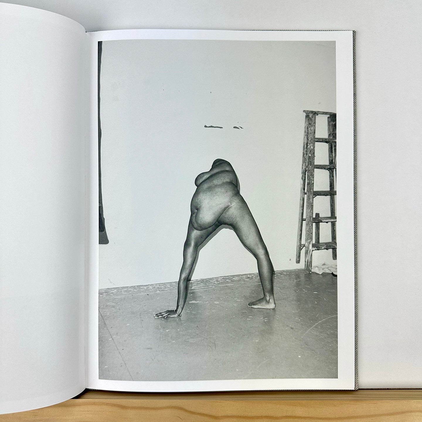 Hester by Asger Carlsen