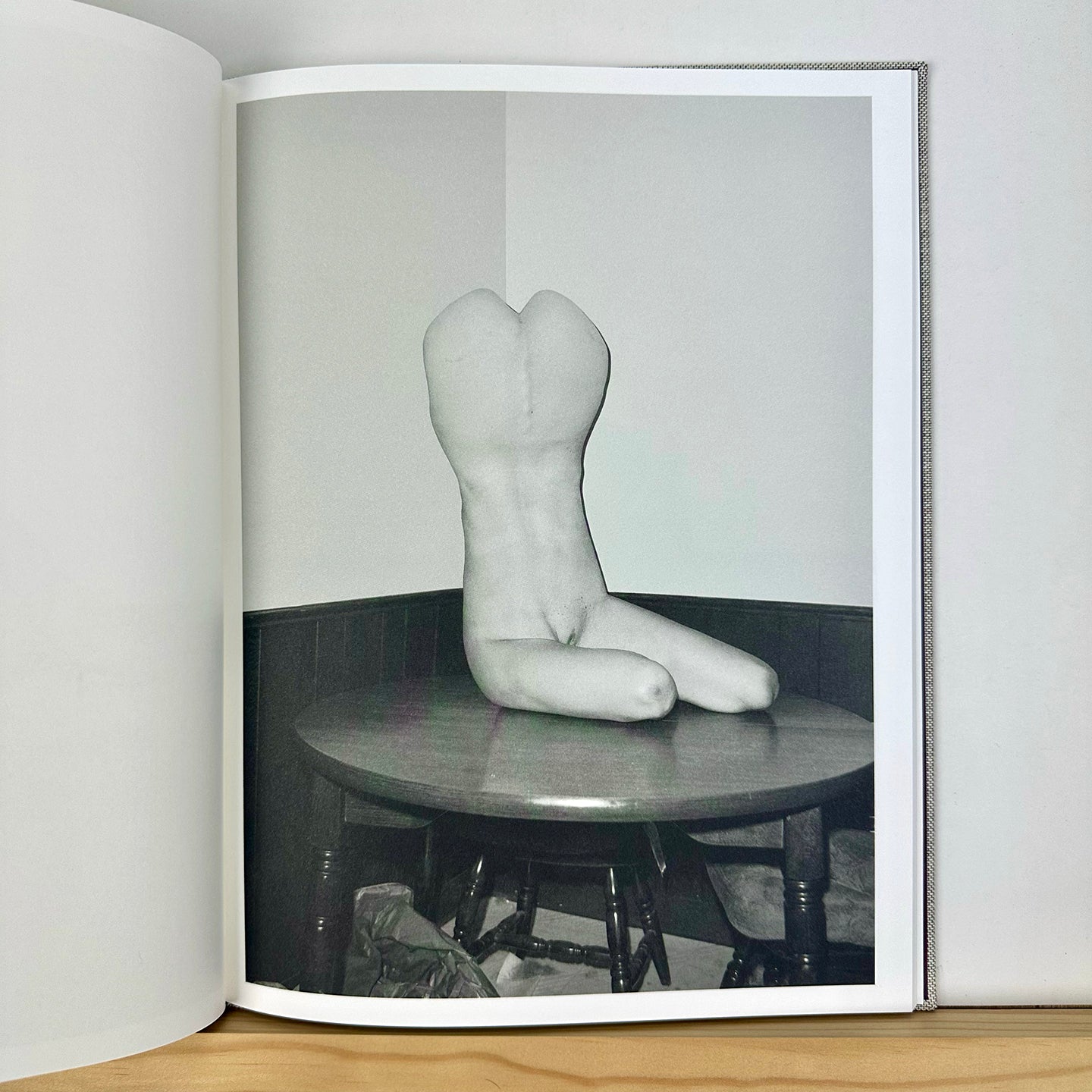 Hester by Asger Carlsen