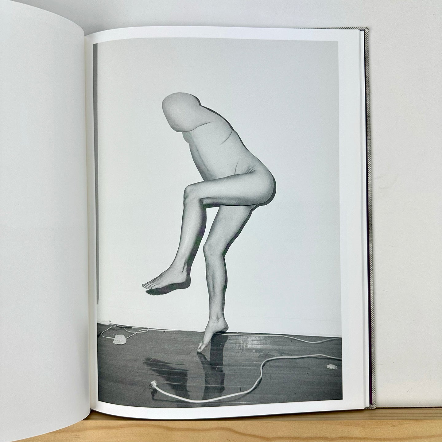 Hester by Asger Carlsen