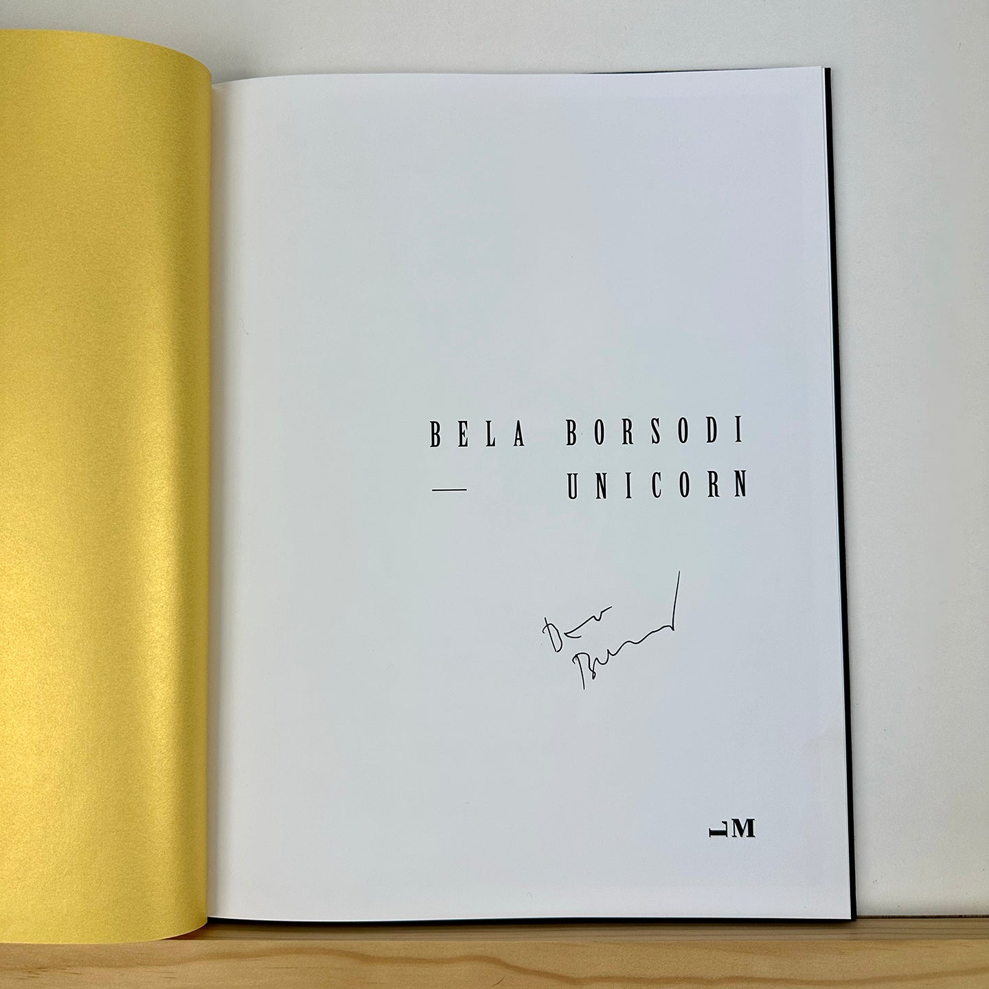 Unicorn by Bela Borsodi