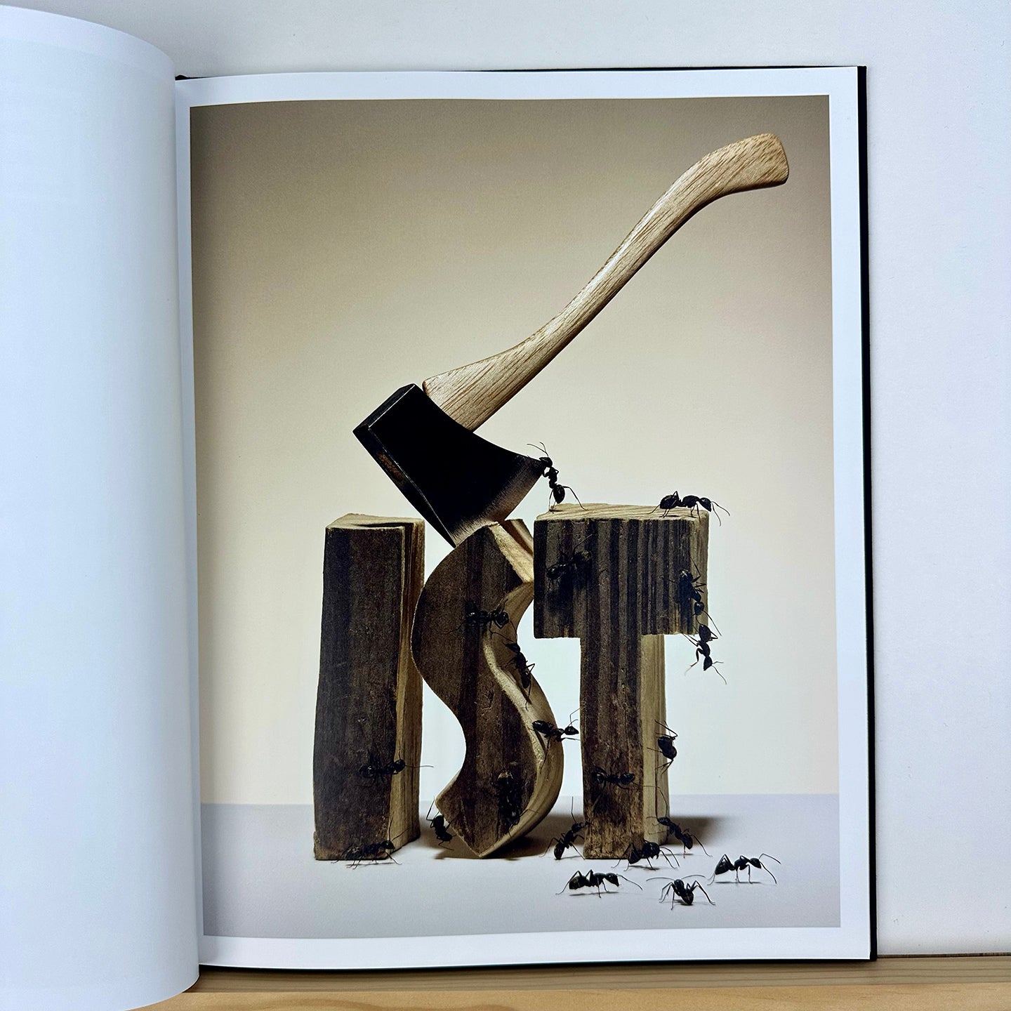 Unicorn by Bela Borsodi