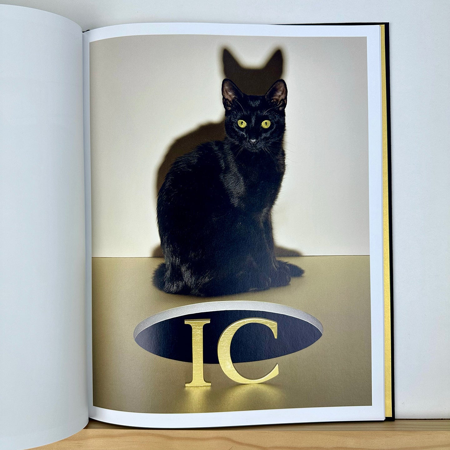 Unicorn by Bela Borsodi