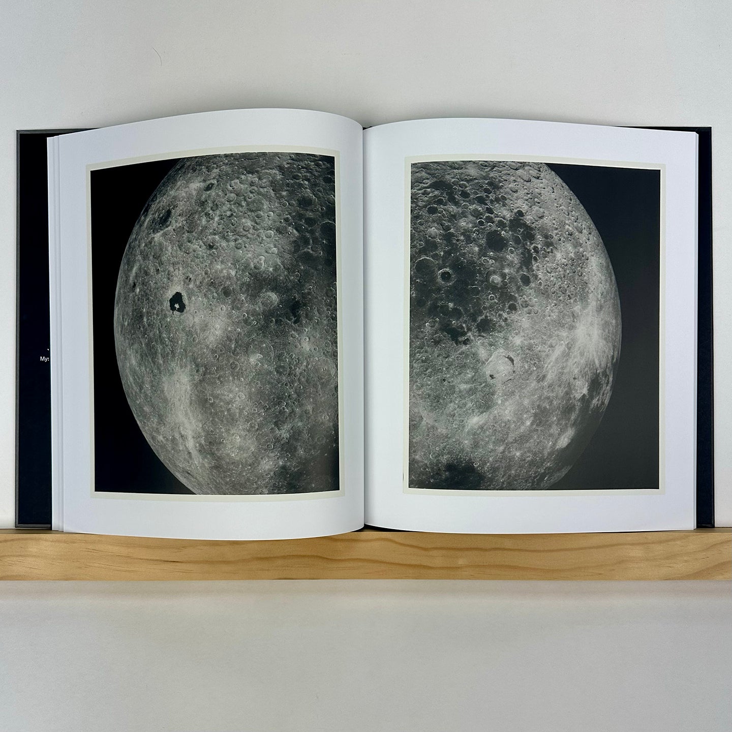 Dark Moon by Steven Brahms