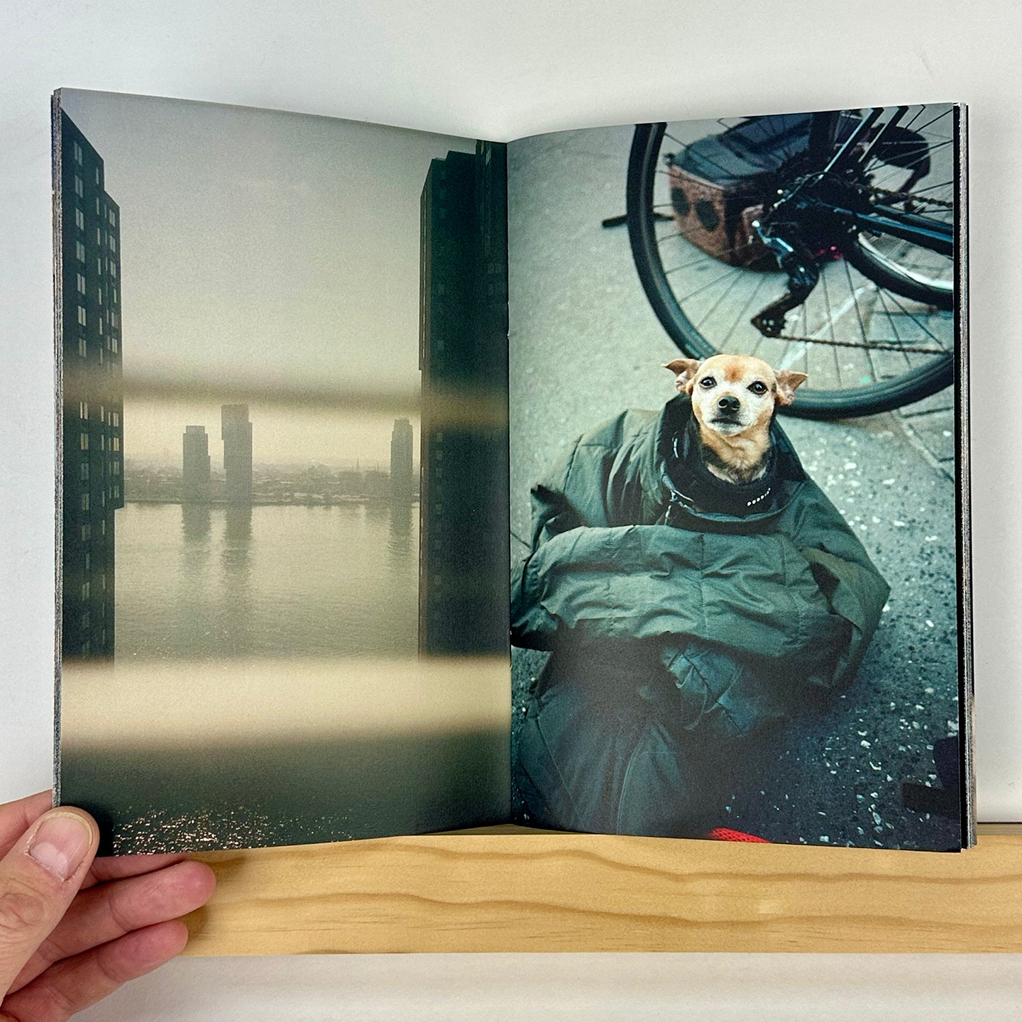 Brain Fog by Ben Colen