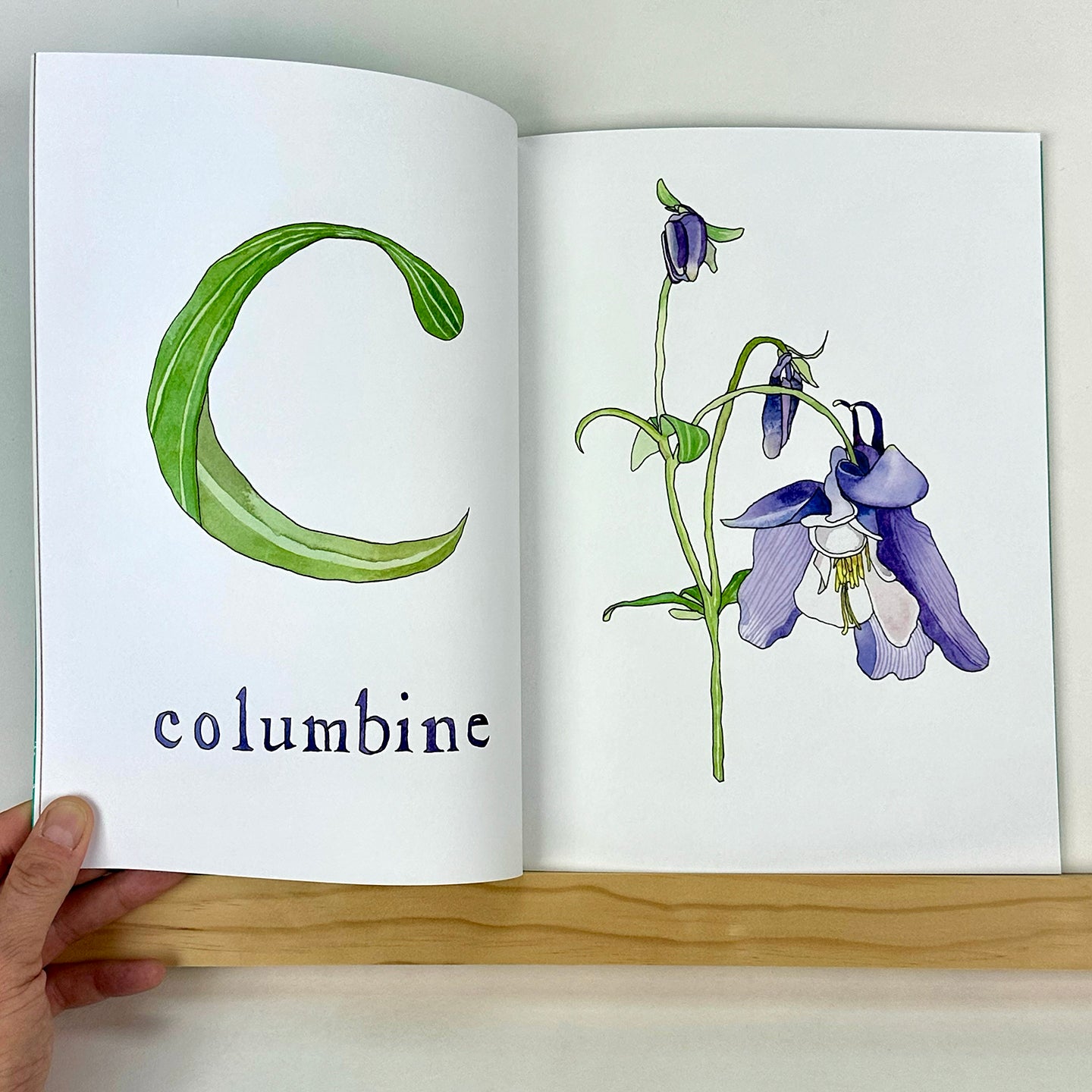 FLORA-Z, Volume 1 edited by Georgia Hilmer