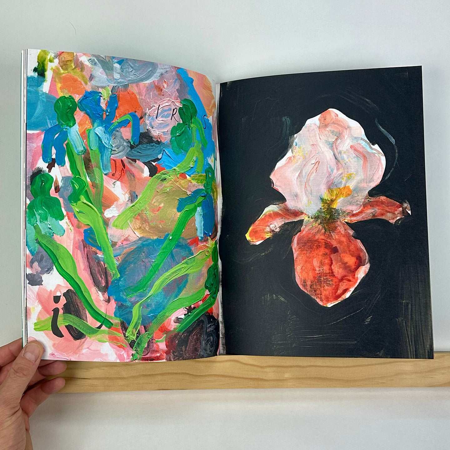 FLORA-Z, Volume 1 edited by Georgia Hilmer