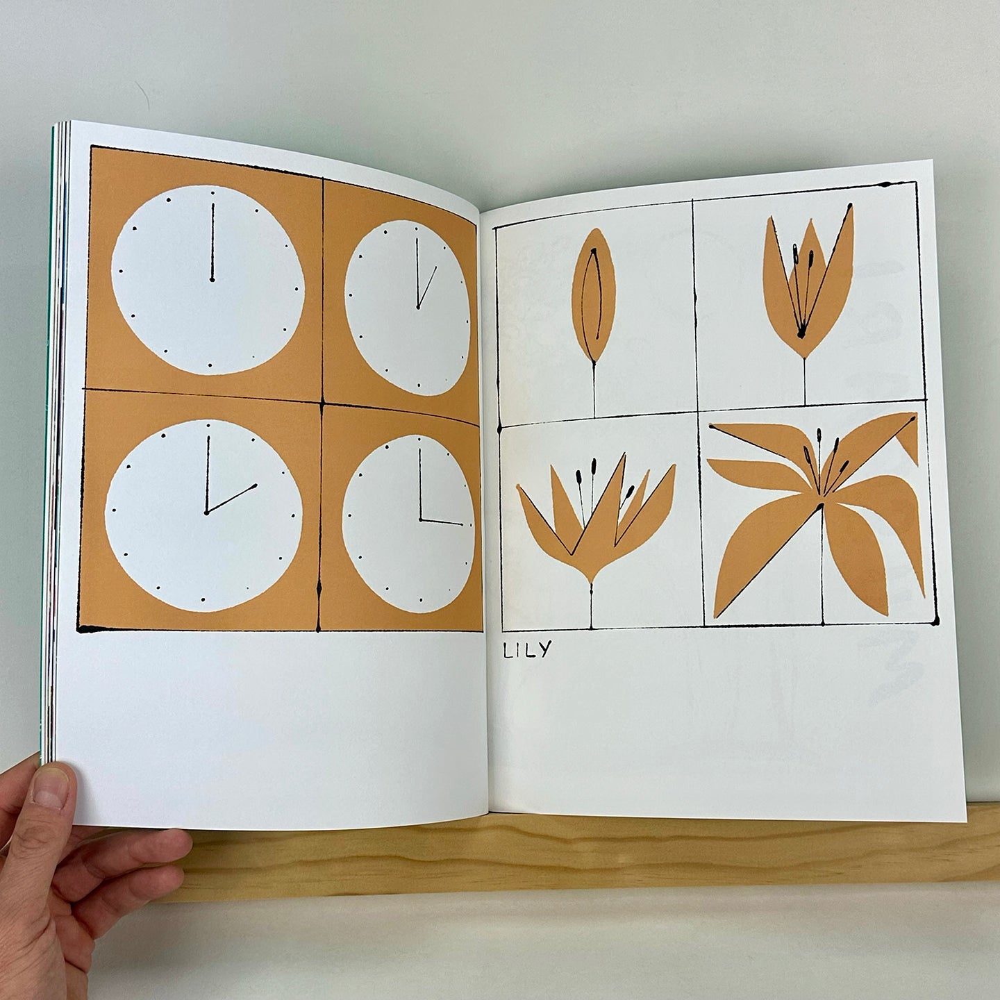 FLORA-Z, Volume 1 edited by Georgia Hilmer