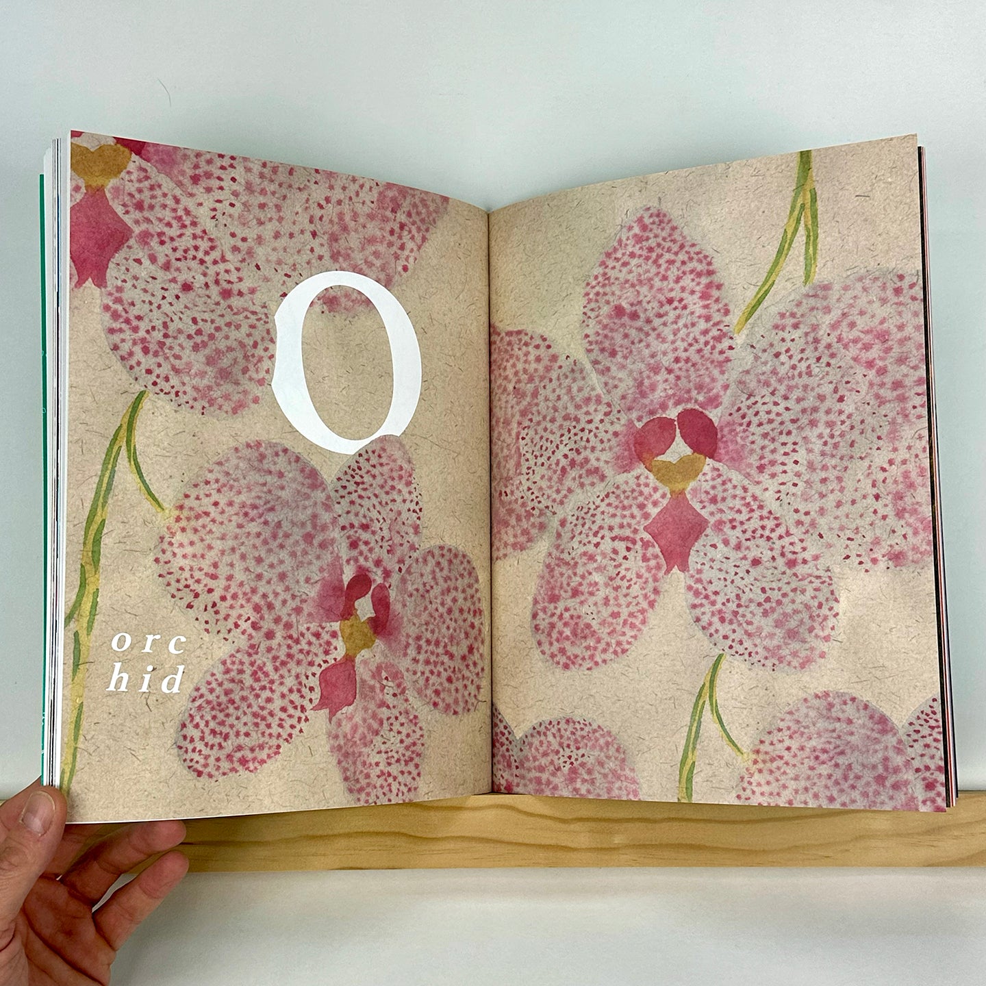 FLORA-Z, Volume 1 edited by Georgia Hilmer