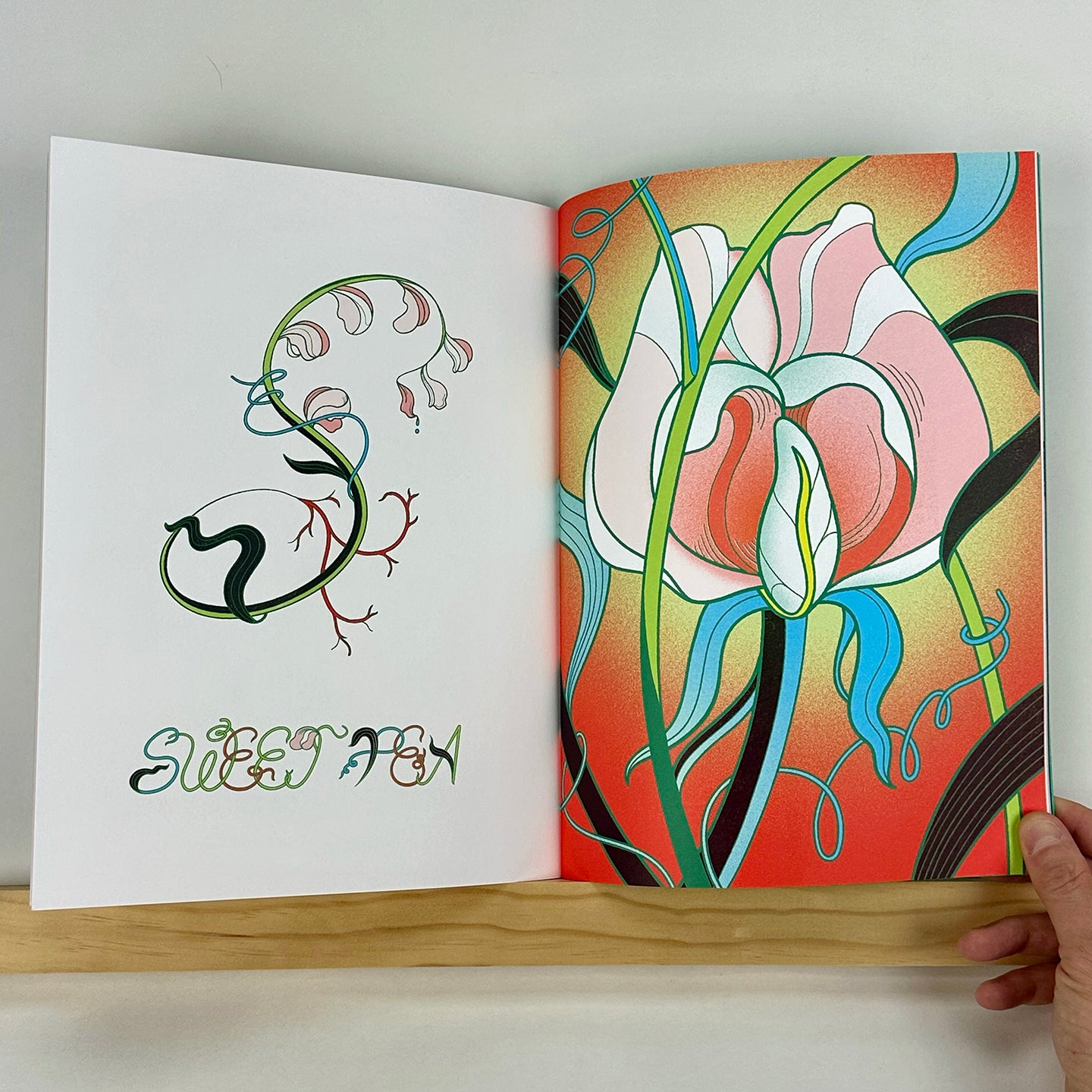 FLORA-Z, Volume 1 edited by Georgia Hilmer