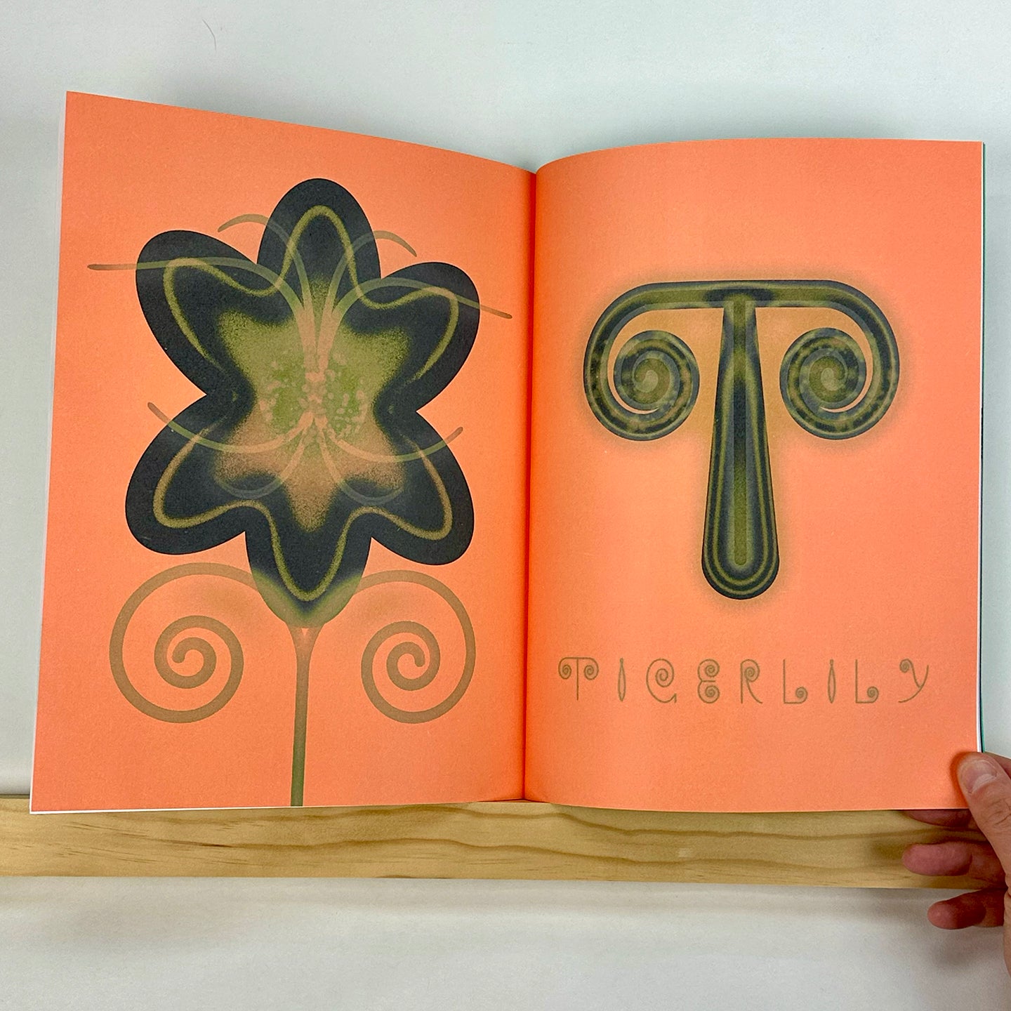 FLORA-Z, Volume 1 edited by Georgia Hilmer