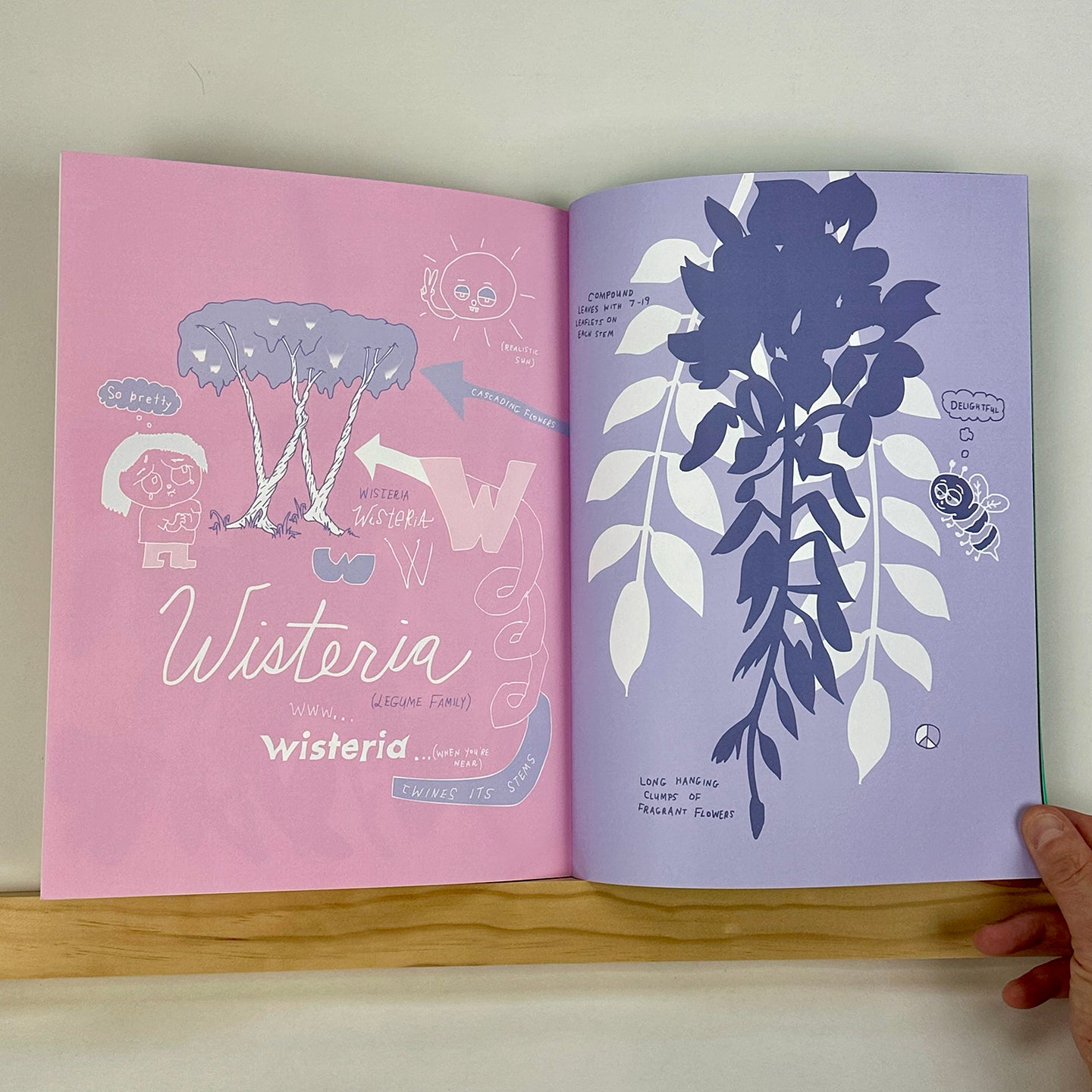 FLORA-Z, Volume 1 edited by Georgia Hilmer