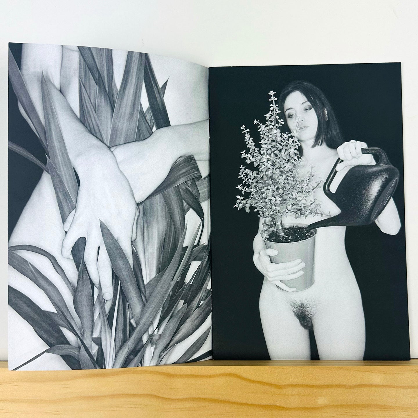 Phytophile by Bela Borsodi