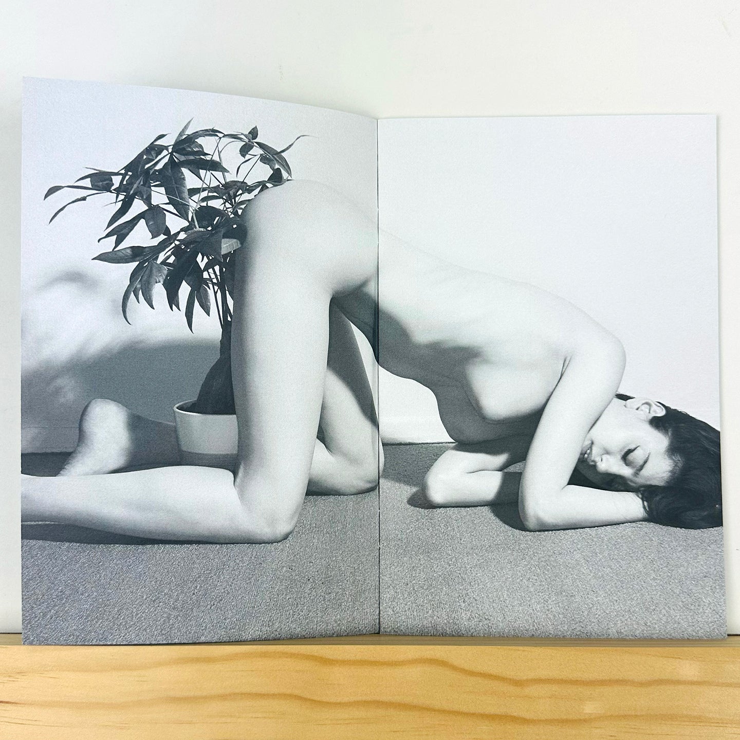 Phytophile by Bela Borsodi