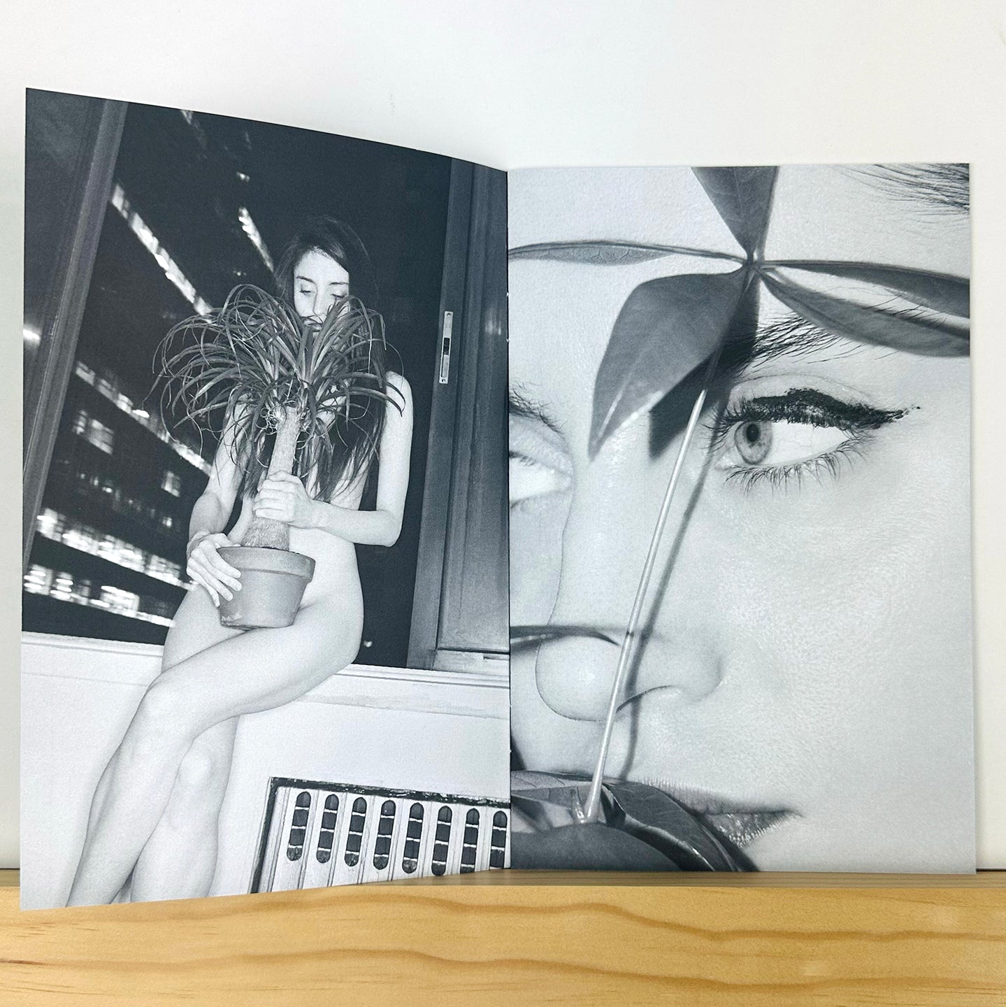 Phytophile by Bela Borsodi