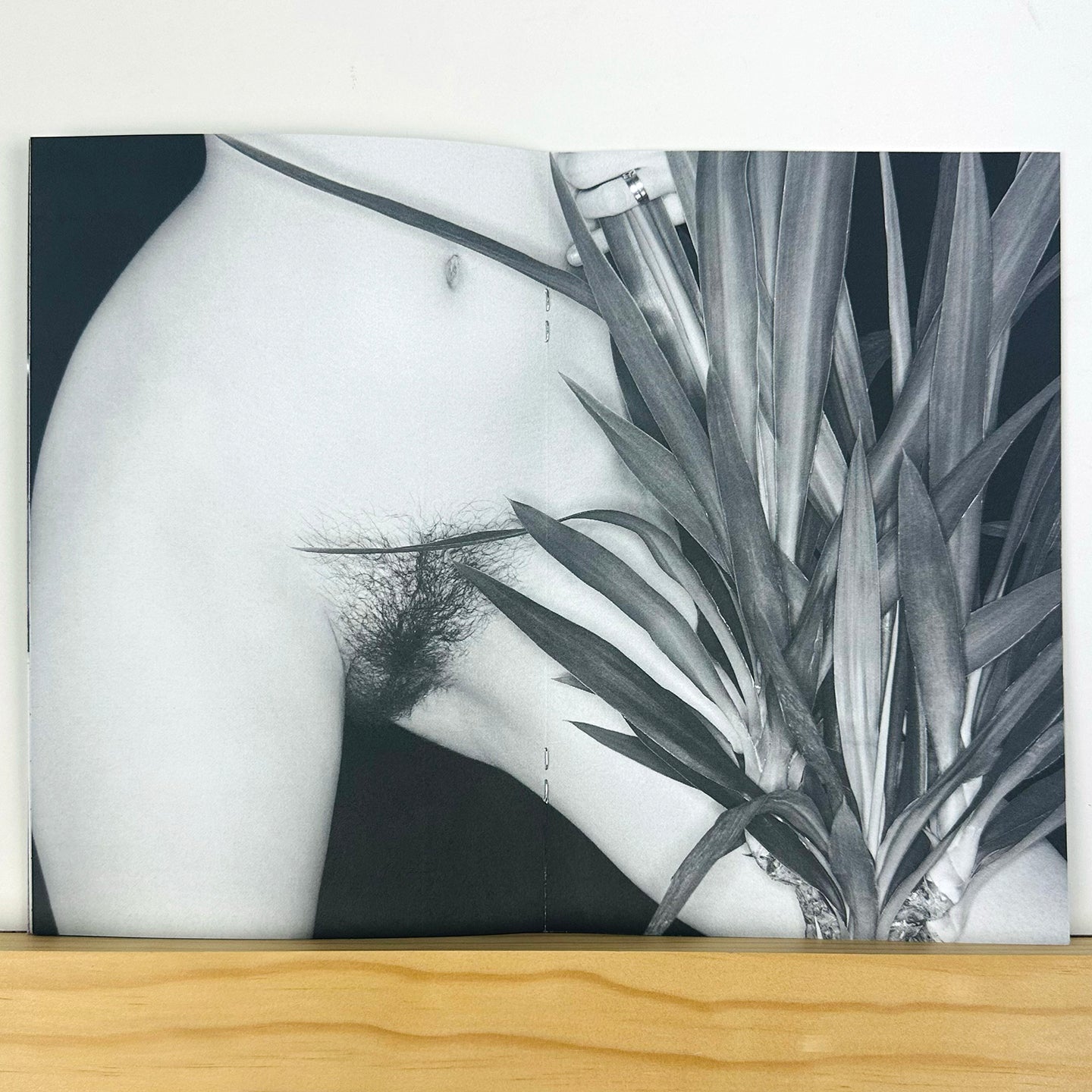 Phytophile by Bela Borsodi