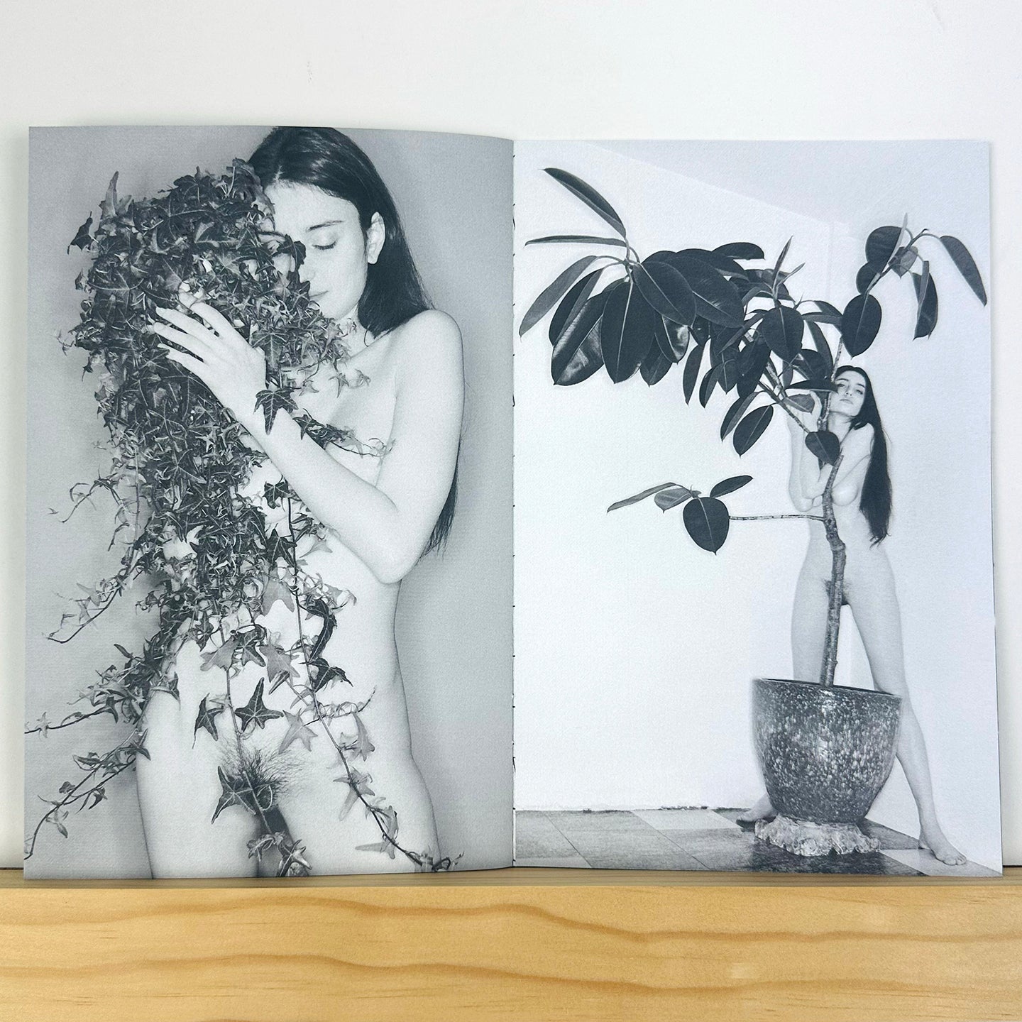 Phytophile by Bela Borsodi