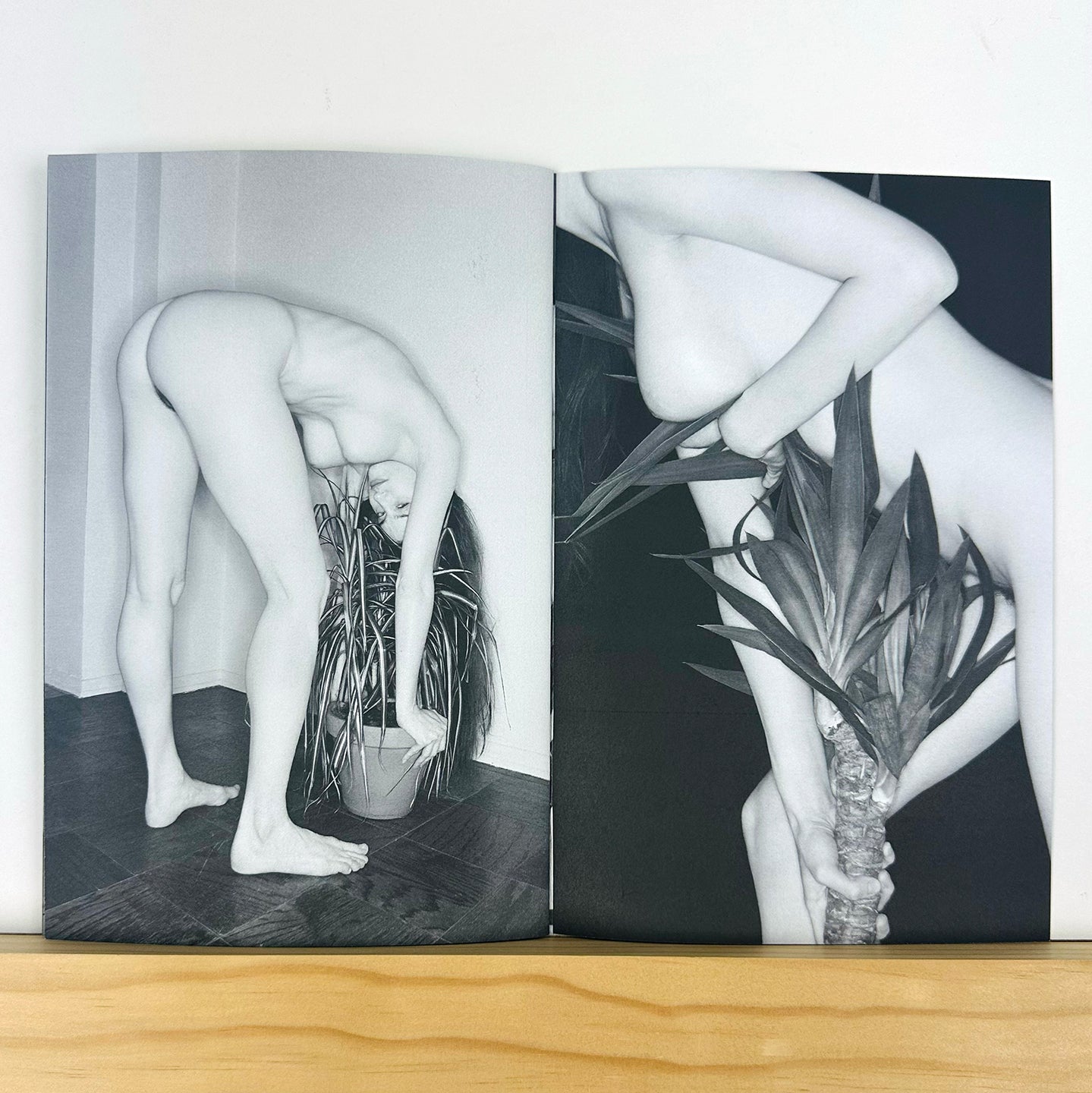 Phytophile by Bela Borsodi